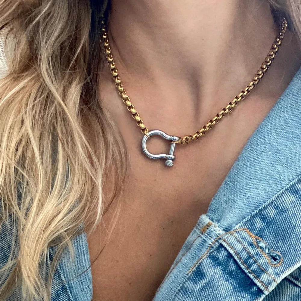 Stainless Steel Horseshoe Gold+Silver Choker