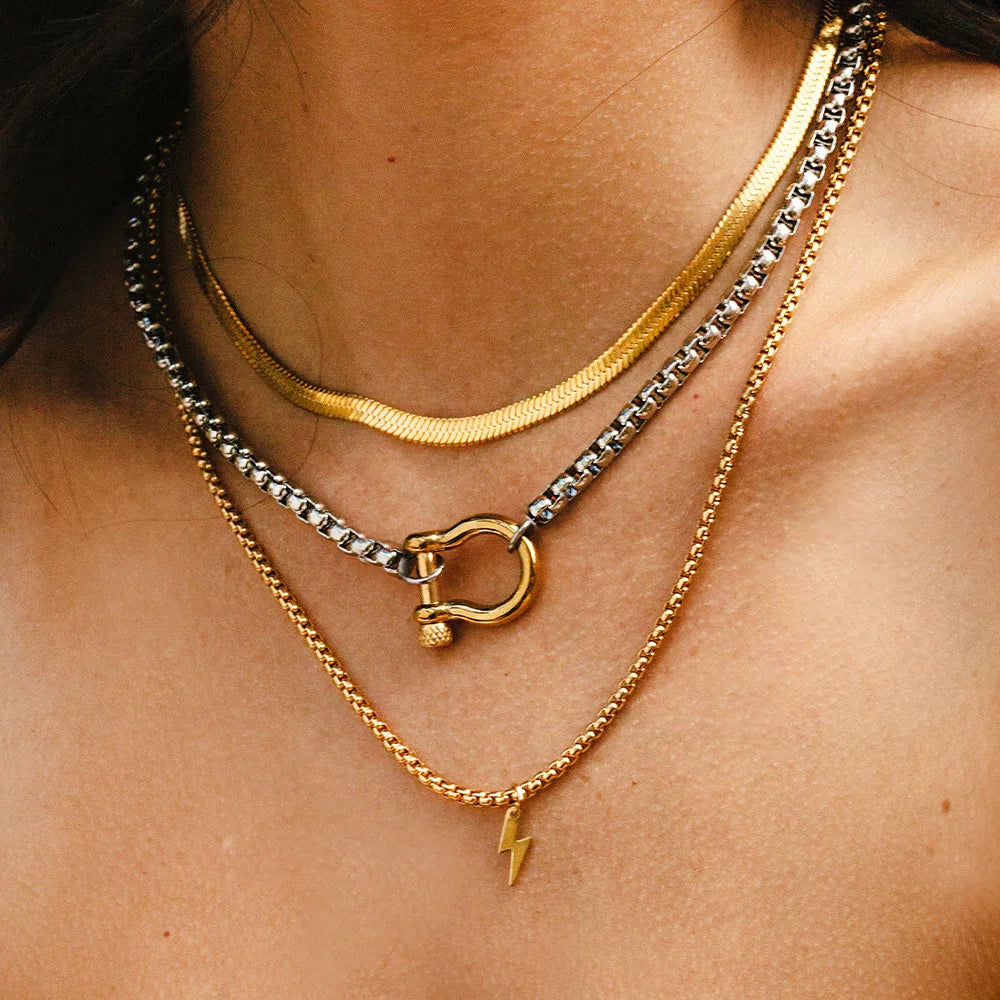 Stainless Steel Horseshoe Gold+Silver Choker